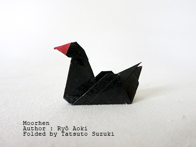 Photo Origami Moorhen, Author : Ryo Aoki, Folded by Tatsuto Suzuki